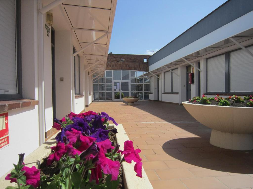 Apartamentos Elena Laredo Exterior foto